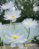 Giant daisies set with floral arrangement base