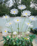 Giant daisies set with floral arrangement base