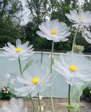 Giant daisies set with floral arrangement base