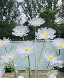 Giant daisies set with floral arrangement base