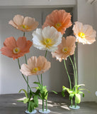 7 piece giant poppies 60cm diameter