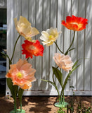 1 or 2 piece giant poppies 60cm diameter