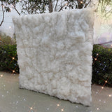 Cloud wall cloth back